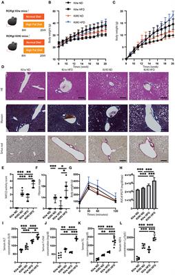 Group 3 Innate Lymphoid Cells Protect Steatohepatitis From High-Fat Diet Induced Toxicity